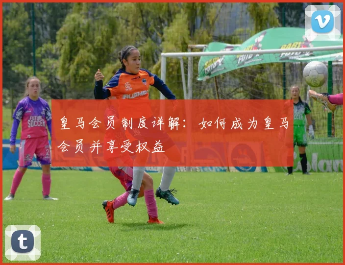 皇马会员制度详解：如何成为皇马会员并享受权益