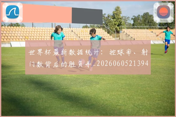 世界杯最新数据统计：控球率、射门数背后的胜负手_20260605213941