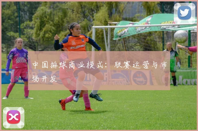 中国排球商业模式：联赛运营与市场开发